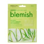 ABSOLUTE NEW YORK BLEMISH MASQUE APAISANT