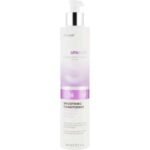 ERAYBA BIO SMOOTH BS16 CONDITIONNER 250 ML