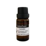JERRAFLORE HUILE ESSENTIELLE CANNELLE CINNAMOMUM VERUM 10 ML