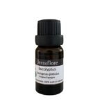 JERRAFLORE HUILE ESSENTIELLE EUCALUPTUS GLOBUS 10 ML
