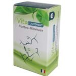 VIT - ALLAITEMENT PLANTES + MINERAUX 60 GELULES
