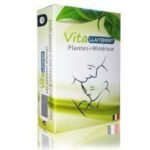 VIT ALLAITEMENT PLANTES +MINÉRAUX 90 GÉLULES